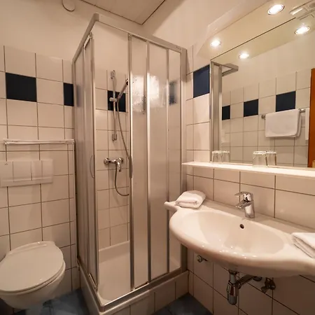 Stadler - Metzgerwirt 3* رادينثين